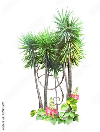Frame with palm, liana branches and tropical leaves