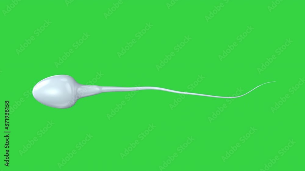 3d rendering sperm on green screen background 4k footage 3d rendering sperm on green screen background 4k footage