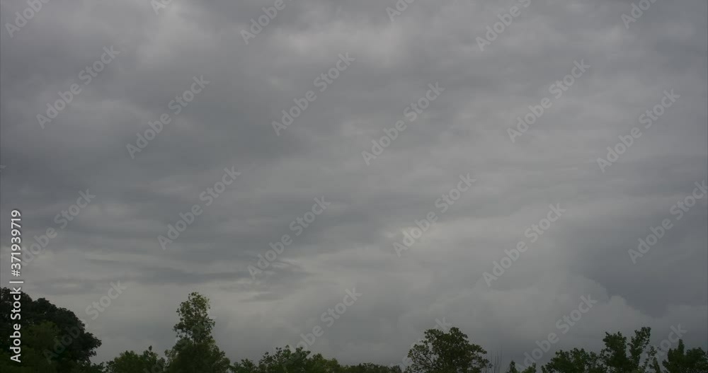 timelaps of cloudes with moving trees. timelaps of cloudes with moving trees.