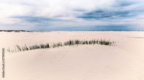 Seegras am Sandstrand