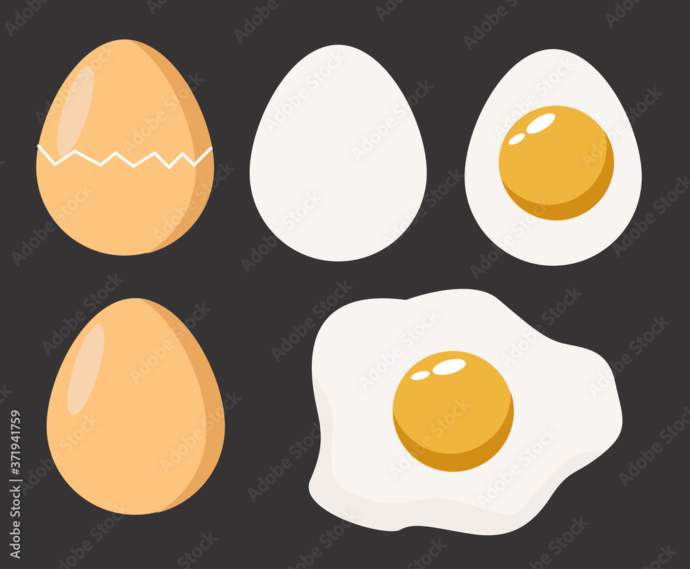eggs on gray background vector