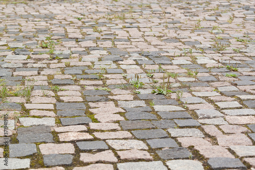 gray and pink cobblestones of old cobblestones with spilled grass in it