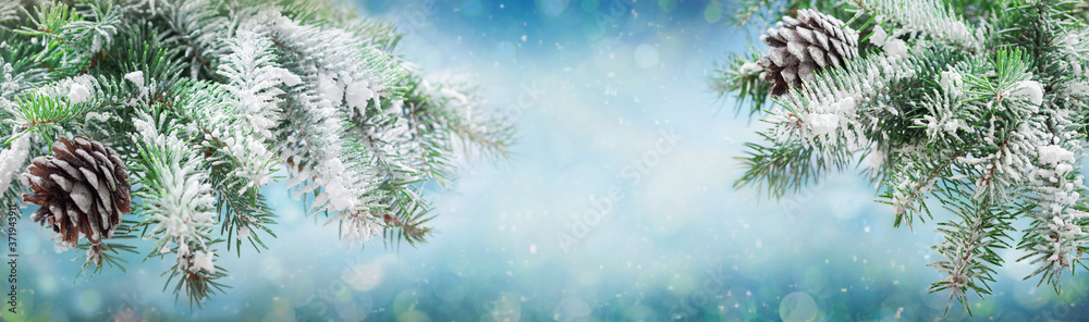 Christmas and New Year background. Snowy fir tree branches on blurred background with christmas lights