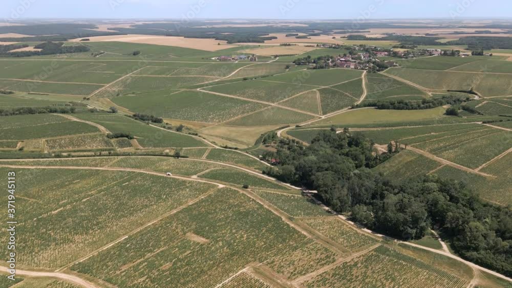 Pedestal shot of the vineyards in the Chablis, France area with tiny villages and fields in the background Pedestal shot of the vineyards in the Chablis, France area with tiny villages and fields in the background