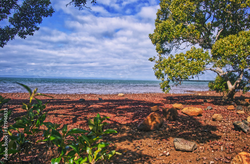 Brisbane Wellington point wetlands coast