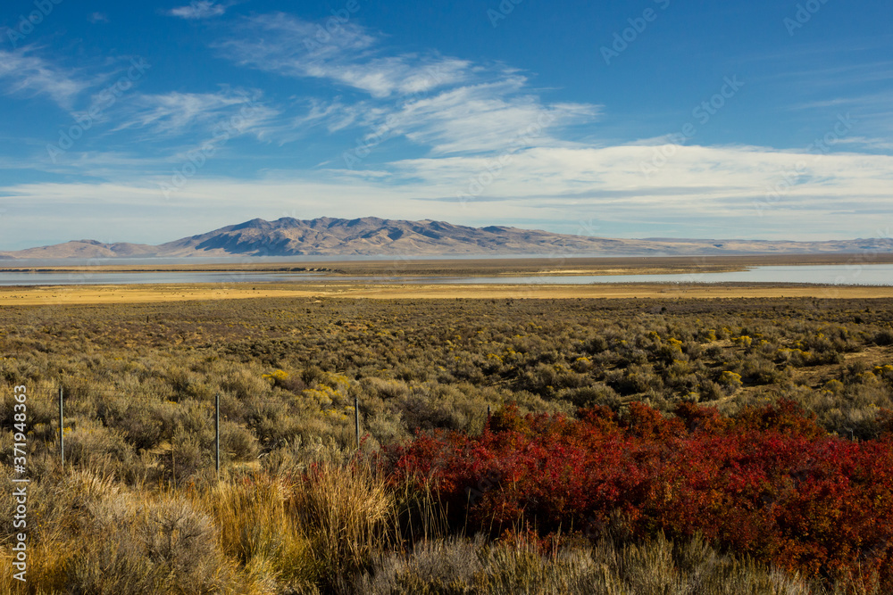 Fototapeta Beautiful colorful landscape in Nevada in autumn season.
