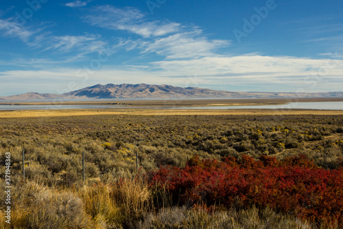 Beautiful colorful landscape in Nevada in autumn season. photo