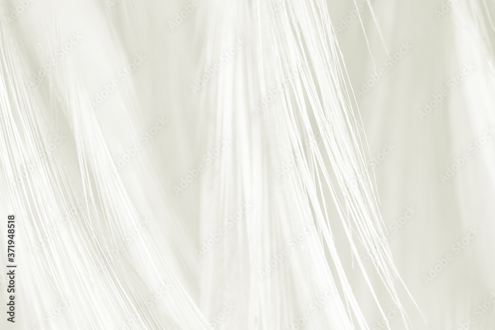Obraz premium Beautiful white feather wooly pattern texture background