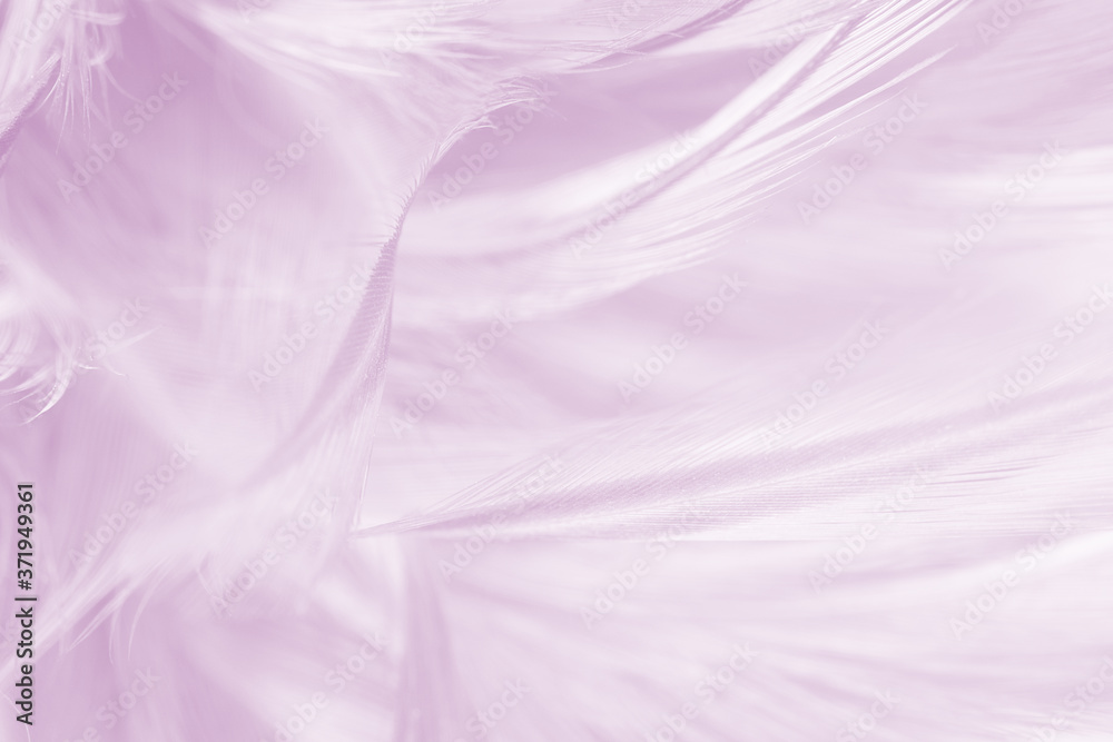Violet feather pattern texture background , pastel color style
