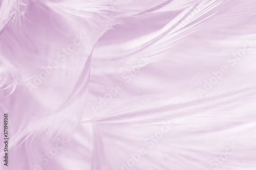 Violet feather pattern texture background , pastel color style