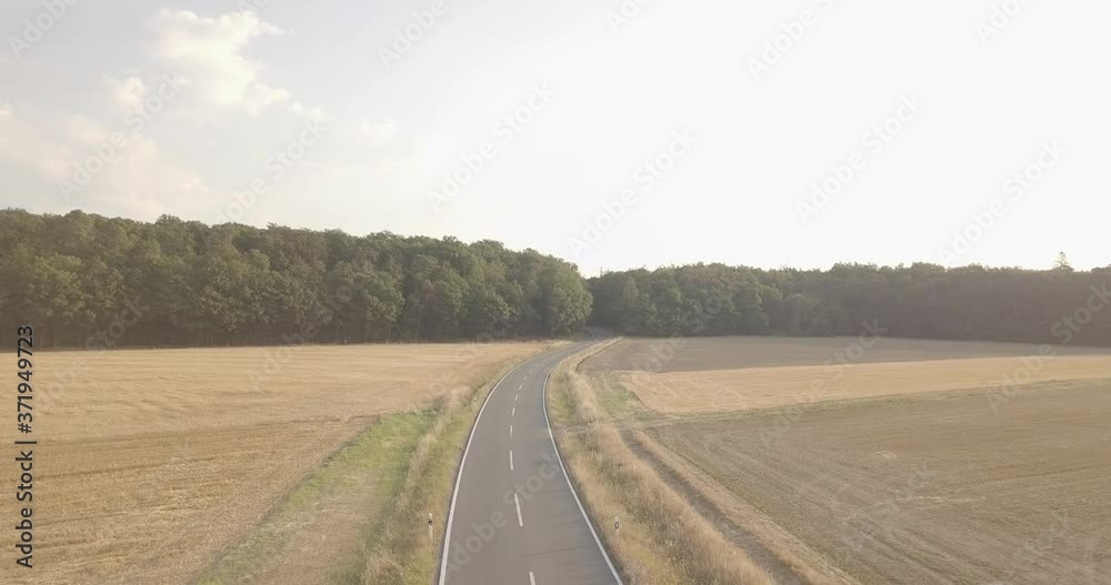 Die Trennung des Waldes durch den kalten Asphalt Die Trennung des Waldes durch den kalten Asphalt