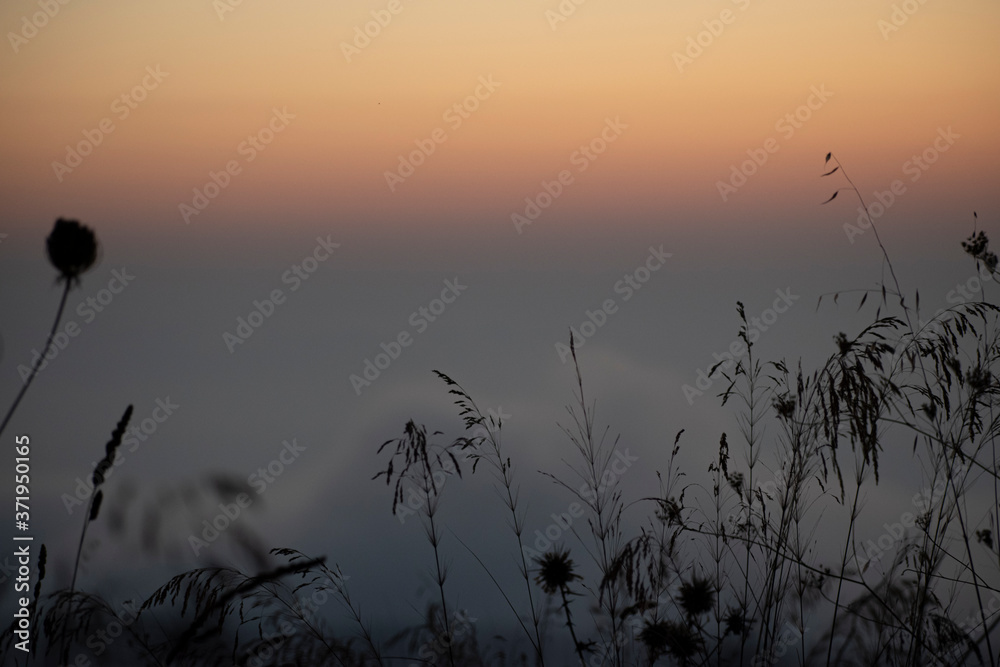 Sunset ocean horizon sky clouds sunset landscape Sunset ocean horizon sky clouds sunset landscape