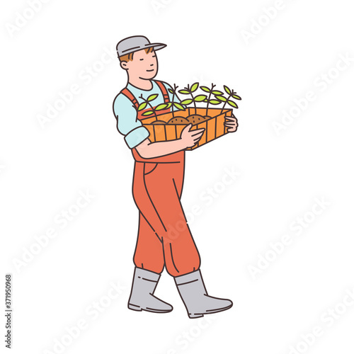 Gardener man holding wooden plant bed with green plants