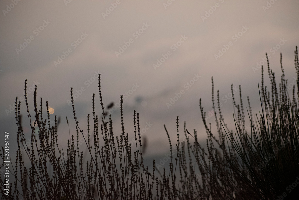 Sunset ocean horizon sky clouds sunset landscape