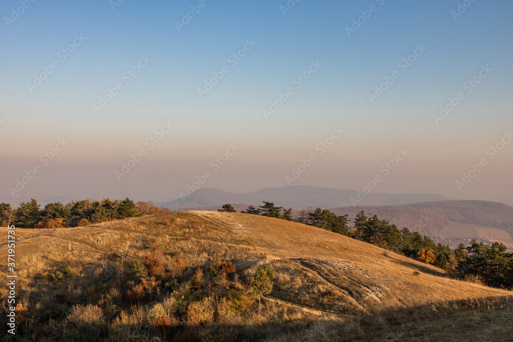 Hills of Nagy-Séznás, a Hungarian mountain just before sunset, with lots of yellow grass everywhere,