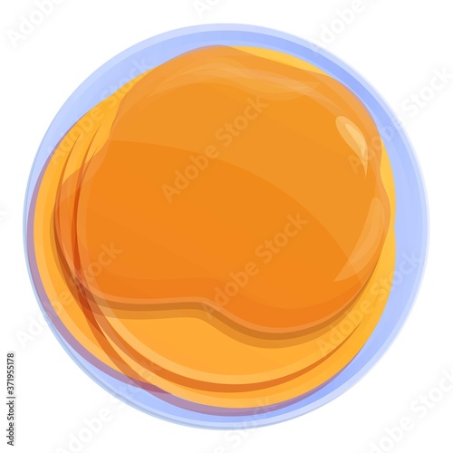 Homemade pancake icon. Cartoon of homemade pancake vector icon for web design isolated on white background