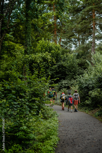 Kinder wandern auf kleiner Strasse durch europäischen, grünen, Wald