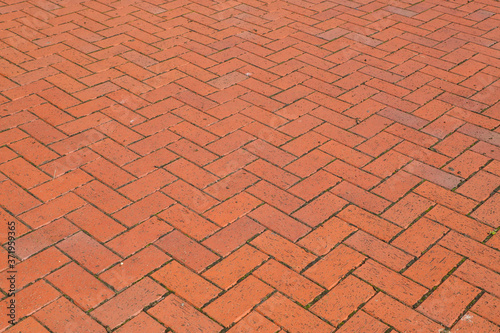 Red brick paving stones on a sidewalk / pavement