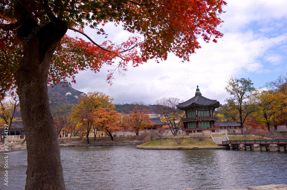 Fototapeta premium The scenery of Autumn colorful park.