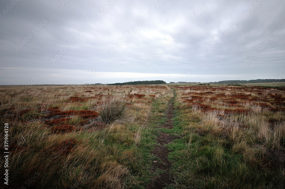Chemin de lande