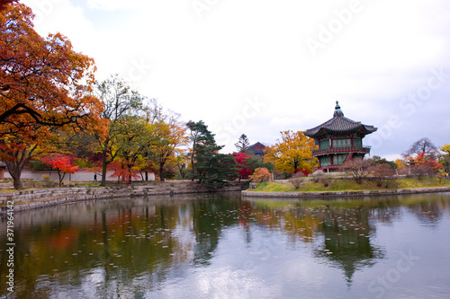 The scenery of Autumn colorful park.