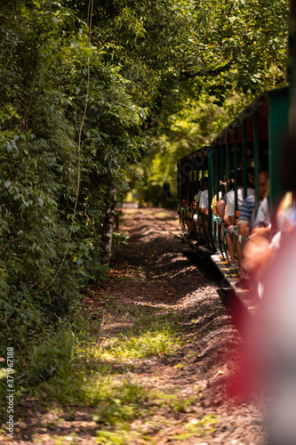 Fototapeta Naklejka Na Ścianę i Meble -  train in the woods of foz de iguazu argentina