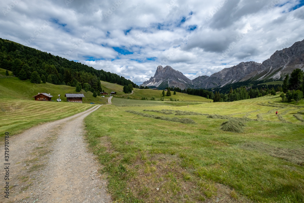 Fototapeta premium Sentiero tra le Dolomiti