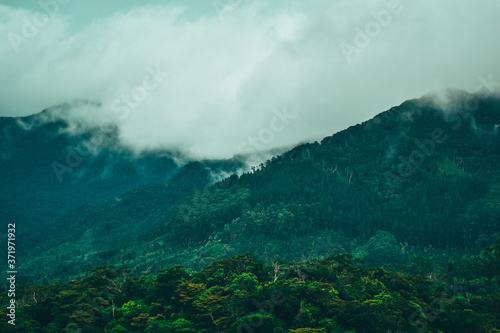 " The beauty of a morning in the mountains " - Hawagala mountain is one of the most beautiful mountain range located in belihul Oya , Srilanka.