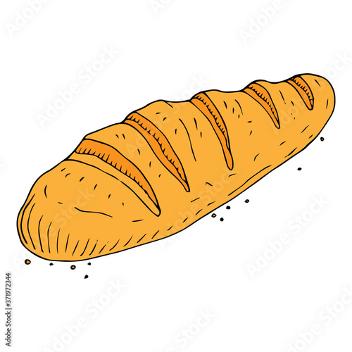 Baguette, bread icon. Vector illustration of bread. French loaf. Hand drawn.
