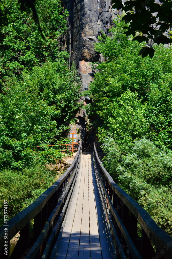 Fototapeta premium wooden bridge across a river in the forest
