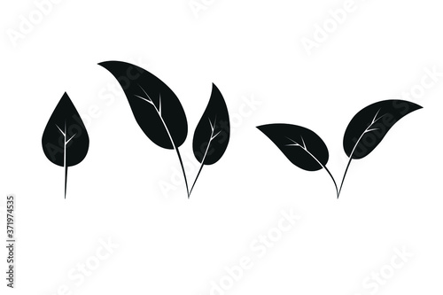 vector illustration of a black leaves isolated on white background