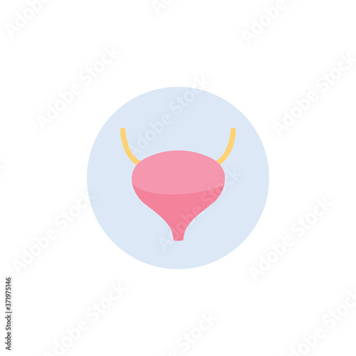 Pink bladder icon isolated on white background - human body organ