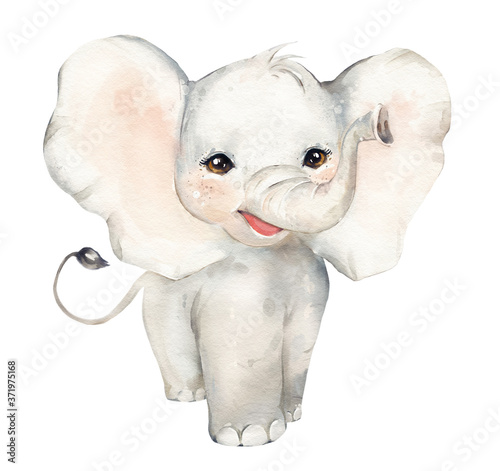 Photography .Watercolor illustration tropical animal portrait. Exotic kids summer print for