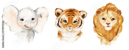 Panel kuchenny z motywem .Watercolor illustration tropical animal baby portraits. Exotic kids summer print for party. Cute poster with elephant, tiger, leo