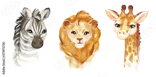 .Watercolor illustration tropical animal portraits. Exotic kids summer print for party. Cute poster with  zebra, leo, giraffe