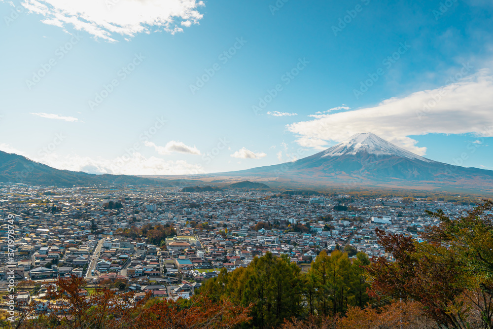 Cityscape views of the city near the volcano in the autumn from the Chureito Pagoda, Japan. There is Mount Fuji with snow on the top with a clear blue sky. There are colorful houses and buildings.