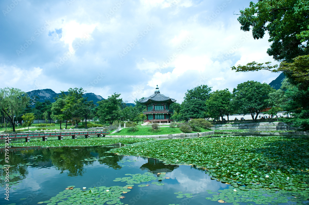 The scenery of summer of green colorful park. The scenery of summer of green colorful park.