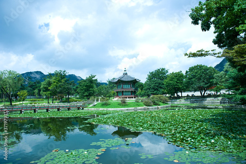 The scenery of summer of green colorful park.