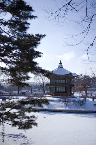 Wallpaper Mural The scenery of winter snow and blue sky. Torontodigital.ca
