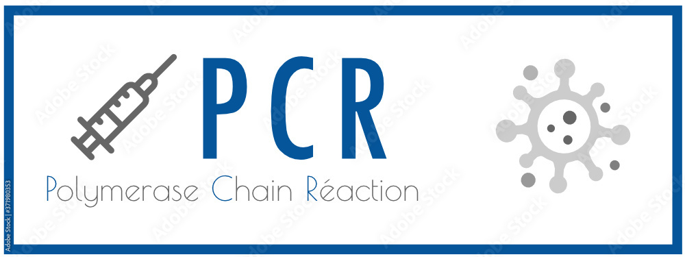 Text PCR Text PCR