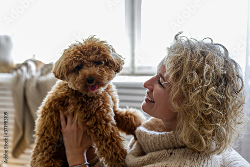 Canvas-taulu Adorable toy poodle puppy in arms of its loving owner