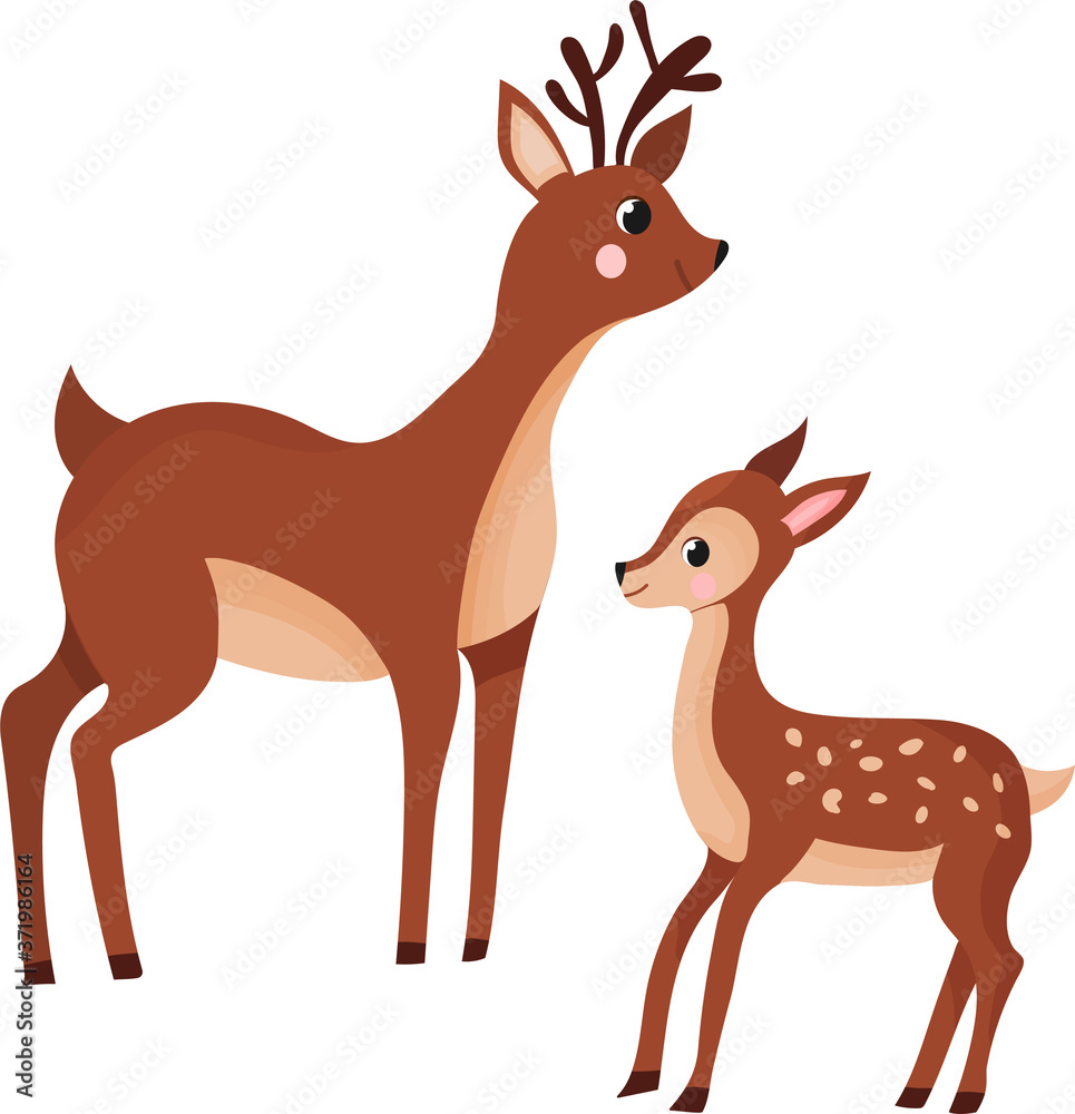 Fototapeta premium fawn and fawn isolated