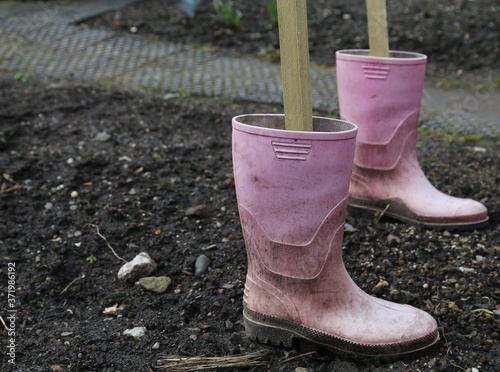 A closeup view of a pair of pink wellington boots with sticks for legs in a winter garden bed.