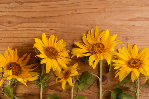 Sunflowers on a wooden rustic table. Bright yellow summer flowers with copy space.