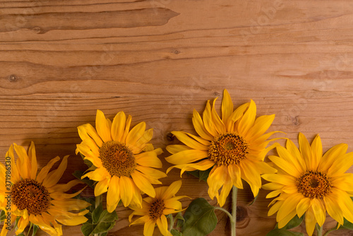 Sunflowers on a wooden rustic table. Bright yellow summer flowers with copy space.