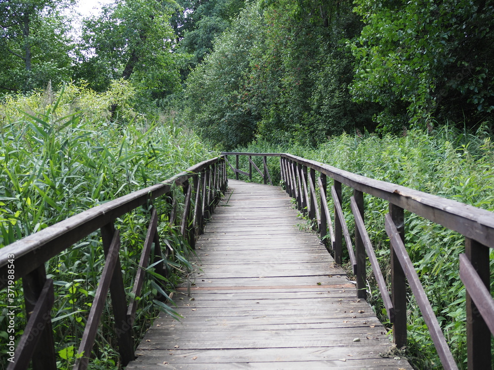 Wooden bridge trough the forest in a nature park. The concept of ecotourism