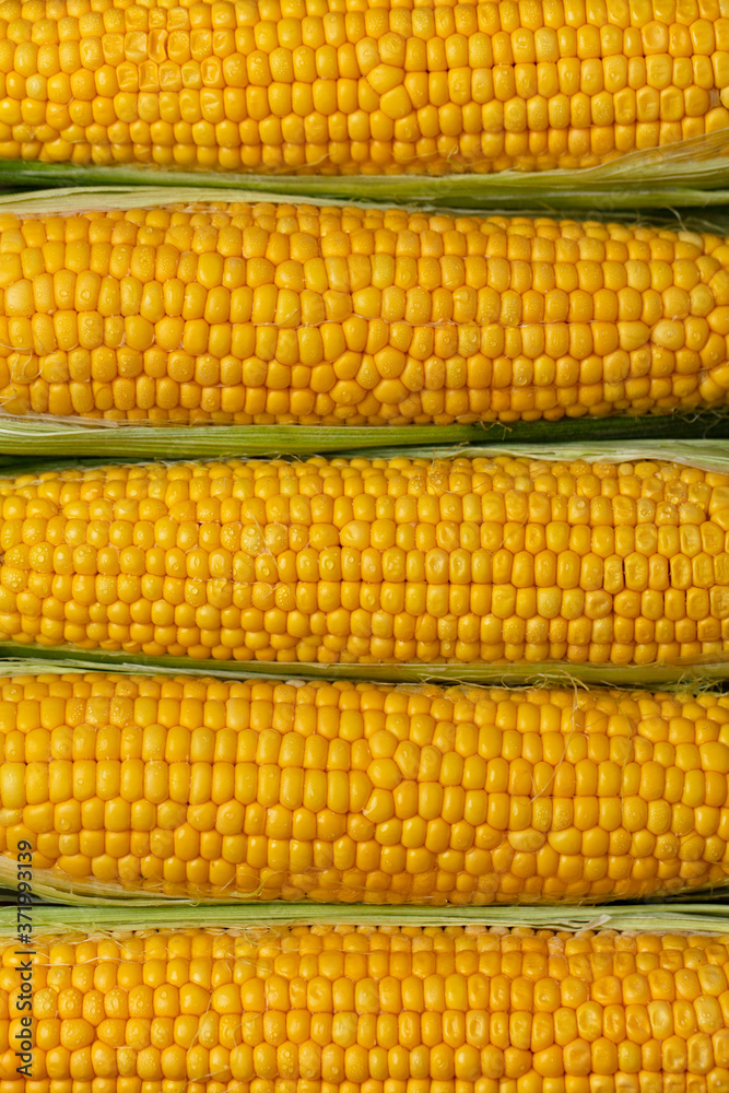 fresh organic yellow sweet corn. Top view
fresh organic yellow sweet corn. Top view