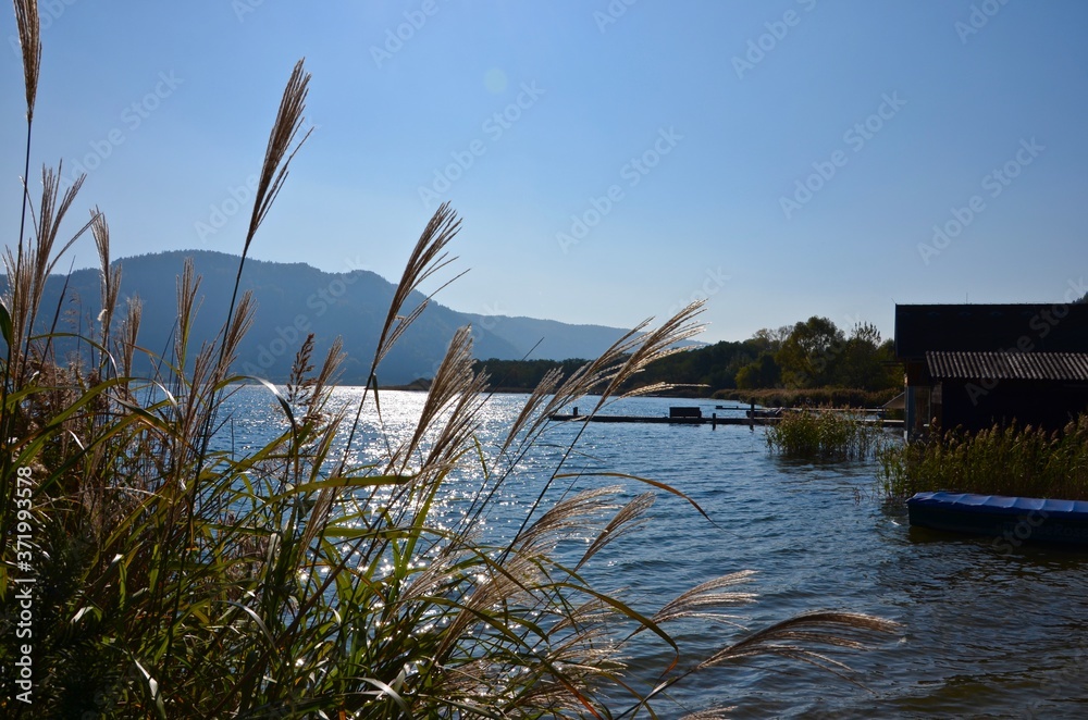 Autumn at Ossiacher Lake in Carinthia (Kaernten), Austria, reed in front, sunlight reflections