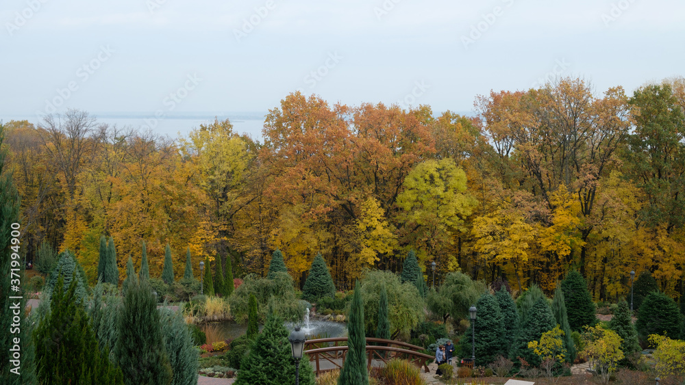 autumn in the park