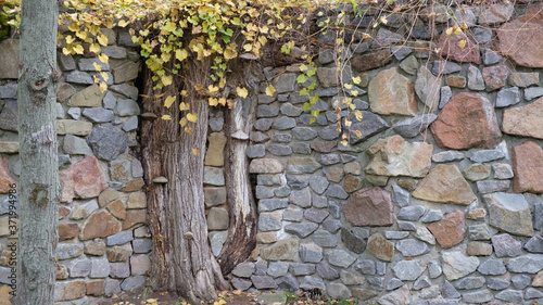 Cuadro en lienzo old stone wall with moss